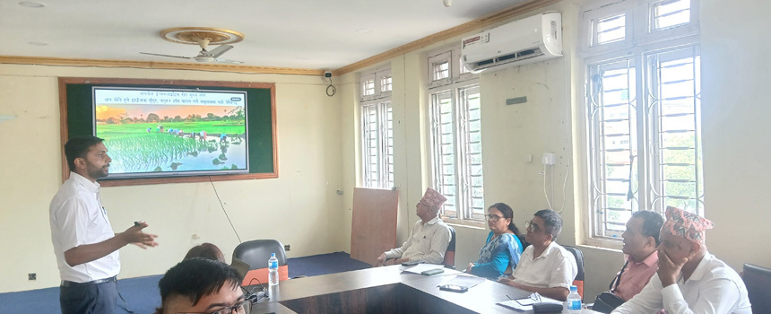 मेचीनगरमा २ जनामा जापानीज इन्सेफलाइटिस पुष्टि