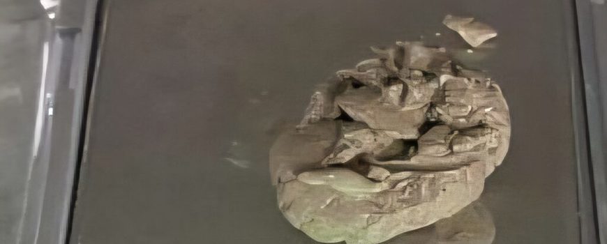  मलद्वारमा लुकाएर ल्याउँदै गरेका एक युवक लागुऔषधसहित भद्रपुरमा  पक्राउ